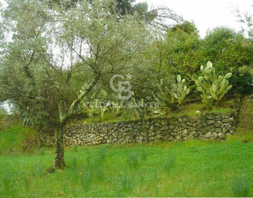 Terreno edificabile a Velletri