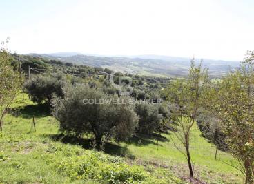 Casa indipendente a Manciano